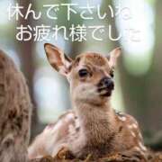 ヒメ日記 2025/05/29 03:06 投稿 ひさこ 熟女総本店 日本橋ミナミエリア店