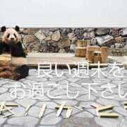 ヒメ日記 2025/05/31 23:06 投稿 ひさこ 熟女総本店 日本橋ミナミエリア店