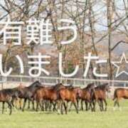 ヒメ日記 2025/06/02 02:56 投稿 ひさこ 熟女総本店 日本橋ミナミエリア店