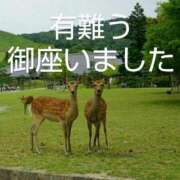 ヒメ日記 2025/06/05 08:36 投稿 ひさこ 熟女総本店 日本橋ミナミエリア店