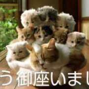 ヒメ日記 2025/06/07 09:46 投稿 ひさこ 熟女総本店 日本橋ミナミエリア店