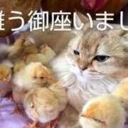 ヒメ日記 2025/06/15 10:06 投稿 ひさこ 熟女総本店 日本橋ミナミエリア店