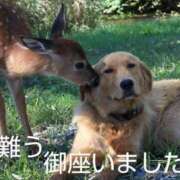 ヒメ日記 2025/06/17 13:46 投稿 ひさこ 熟女総本店 日本橋ミナミエリア店