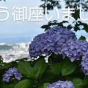 ヒメ日記 2025/06/19 10:56 投稿 ひさこ 熟女総本店 日本橋ミナミエリア店