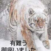 ヒメ日記 2025/06/23 11:06 投稿 ひさこ 熟女総本店 日本橋ミナミエリア店