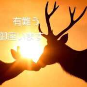 ヒメ日記 2025/06/28 08:26 投稿 ひさこ 熟女総本店 日本橋ミナミエリア店