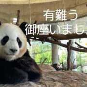 ヒメ日記 2025/06/29 09:46 投稿 ひさこ 熟女総本店 日本橋ミナミエリア店