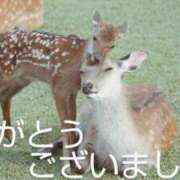 ヒメ日記 2025/06/30 08:39 投稿 ひさこ 熟女総本店 日本橋ミナミエリア店