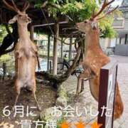 ヒメ日記 2025/07/01 08:26 投稿 ひさこ 熟女総本店 日本橋ミナミエリア店