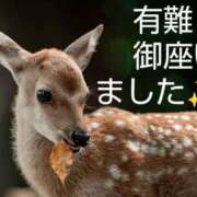 ヒメ日記 2025/07/03 13:26 投稿 ひさこ 熟女総本店 日本橋ミナミエリア店