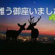 ヒメ日記 2025/07/05 14:26 投稿 ひさこ 熟女総本店 日本橋ミナミエリア店