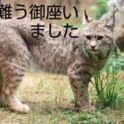 ヒメ日記 2025/07/12 09:56 投稿 ひさこ 熟女総本店 日本橋ミナミエリア店