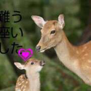 ヒメ日記 2025/07/13 08:56 投稿 ひさこ 熟女総本店 日本橋ミナミエリア店