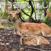 ヒメ日記 2025/07/14 12:56 投稿 ひさこ 熟女総本店 日本橋ミナミエリア店