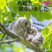 ヒメ日記 2025/07/17 12:06 投稿 ひさこ 熟女総本店 日本橋ミナミエリア店