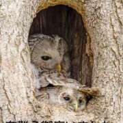 ヒメ日記 2025/07/20 08:46 投稿 ひさこ 熟女総本店 日本橋ミナミエリア店