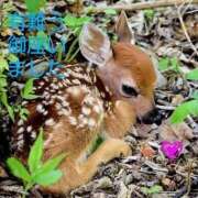 ヒメ日記 2025/07/21 09:36 投稿 ひさこ 熟女総本店 日本橋ミナミエリア店