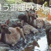 ヒメ日記 2025/07/22 10:26 投稿 ひさこ 熟女総本店 日本橋ミナミエリア店