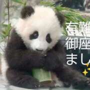 ヒメ日記 2025/07/23 07:26 投稿 ひさこ 熟女総本店 日本橋ミナミエリア店