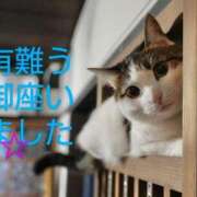 ヒメ日記 2025/07/24 08:16 投稿 ひさこ 熟女総本店 日本橋ミナミエリア店