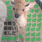 ヒメ日記 2025/07/26 07:26 投稿 ひさこ 熟女総本店 日本橋ミナミエリア店