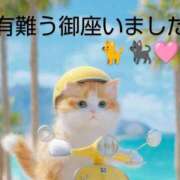 ヒメ日記 2025/07/31 08:16 投稿 ひさこ 熟女総本店 日本橋ミナミエリア店