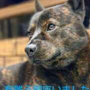 ヒメ日記 2025/08/01 07:46 投稿 ひさこ 熟女総本店 日本橋ミナミエリア店