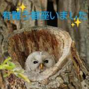 ヒメ日記 2025/08/02 08:16 投稿 ひさこ 熟女総本店 日本橋ミナミエリア店