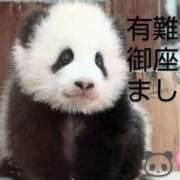 ヒメ日記 2025/08/07 06:56 投稿 ひさこ 熟女総本店 日本橋ミナミエリア店