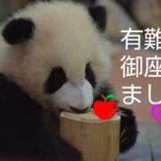 ヒメ日記 2025/08/10 08:36 投稿 ひさこ 熟女総本店 日本橋ミナミエリア店