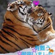 ヒメ日記 2025/08/11 09:06 投稿 ひさこ 熟女総本店 日本橋ミナミエリア店