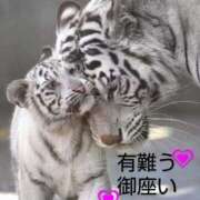 ヒメ日記 2025/08/13 23:46 投稿 ひさこ 熟女総本店 日本橋ミナミエリア店