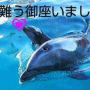 ヒメ日記 2025/08/15 01:26 投稿 ひさこ 熟女総本店 日本橋ミナミエリア店