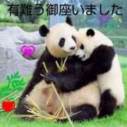 ヒメ日記 2025/08/16 10:05 投稿 ひさこ 熟女総本店 日本橋ミナミエリア店