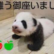 ヒメ日記 2025/08/19 11:46 投稿 ひさこ 熟女総本店 日本橋ミナミエリア店