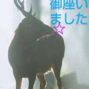 ヒメ日記 2025/08/20 23:36 投稿 ひさこ 熟女総本店 日本橋ミナミエリア店