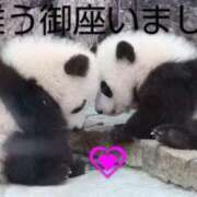 ヒメ日記 2025/08/30 07:36 投稿 ひさこ 熟女総本店 日本橋ミナミエリア店