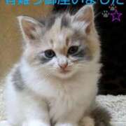 ヒメ日記 2025/09/01 09:16 投稿 ひさこ 熟女総本店 日本橋ミナミエリア店