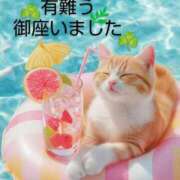 ヒメ日記 2025/09/02 07:46 投稿 ひさこ 熟女総本店 日本橋ミナミエリア店