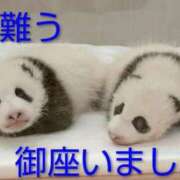 ヒメ日記 2025/09/06 09:36 投稿 ひさこ 熟女総本店 日本橋ミナミエリア店