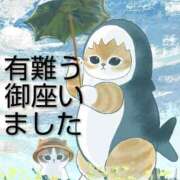 ヒメ日記 2025/09/10 23:57 投稿 ひさこ 熟女総本店 日本橋ミナミエリア店
