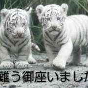 ヒメ日記 2025/09/13 01:46 投稿 ひさこ 熟女総本店 日本橋ミナミエリア店