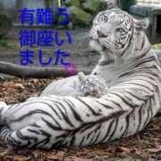 ヒメ日記 2025/09/19 22:36 投稿 ひさこ 熟女総本店 日本橋ミナミエリア店