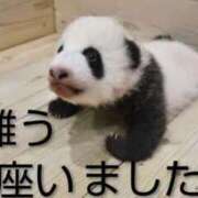 ヒメ日記 2025/09/26 13:16 投稿 ひさこ 熟女総本店 日本橋ミナミエリア店