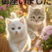 ヒメ日記 2025/09/28 11:26 投稿 ひさこ 熟女総本店 日本橋ミナミエリア店