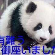 ヒメ日記 2025/09/29 09:26 投稿 ひさこ 熟女総本店 日本橋ミナミエリア店