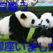 ヒメ日記 2025/10/01 11:26 投稿 ひさこ 熟女総本店 日本橋ミナミエリア店