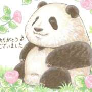 ヒメ日記 2025/10/02 20:06 投稿 ひさこ 熟女総本店 日本橋ミナミエリア店