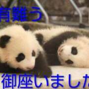 ヒメ日記 2025/10/06 08:06 投稿 ひさこ 熟女総本店 日本橋ミナミエリア店