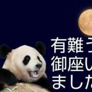 ヒメ日記 2025/10/08 18:06 投稿 ひさこ 熟女総本店 日本橋ミナミエリア店